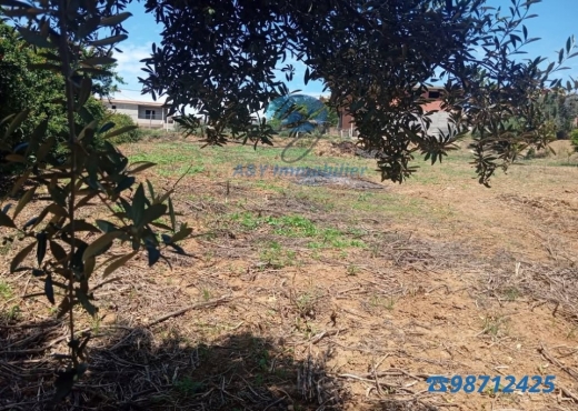 Maison spacieuse avec grand terrain 🌳🍋 - Bien immobilier à {"id":4,"country_id":219,"name":"BIZERTE","slug":"bizerte"} - Image 4 - Agence Immobilière Maison Plus Elite