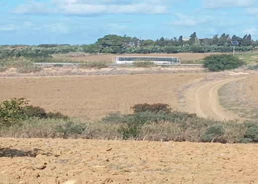 Terrain agricole, Route Ras Jebel ↔ Rafraf - Bien immobilier à {"id":4,"country_id":219,"name":"BIZERTE","slug":"bizerte"} - Agence Immobilière immo\'in