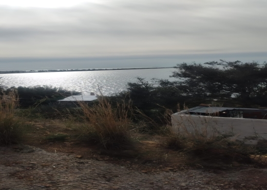 Terrain de 175 m² à Ghar El Melh ! E - Bien immobilier à {"id":4,"country_id":219,"name":"BIZERTE","slug":"bizerte"} - Agence Immobilière immo\'in