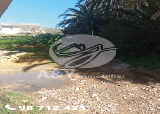 🌿🌳 Terrain agricole à vendre – Gharel Melh 🌳🌿 - Bien immobilier à {"id":4,"country_id":219,"name":"BIZERTE","slug":"bizerte"} - Agence Immobilière immo\'in