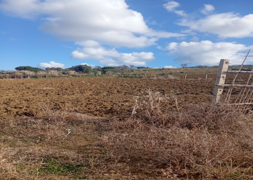 📍🌿 Terrain 2329 m² à Béjou – Ghar El Melh - Bien immobilier à {"id":4,"country_id":219,"name":"BIZERTE","slug":"bizerte"} - Image 2 - Agence Immobilière Maison Plus Elite