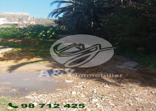 🌿🌳 Terrain agricole à vendre – Gharel Melh 🌳🌿 - Bien immobilier à {"id":4,"country_id":219,"name":"BIZERTE","slug":"bizerte"} - Image 2 - Agence Immobilière Maison Plus Elite