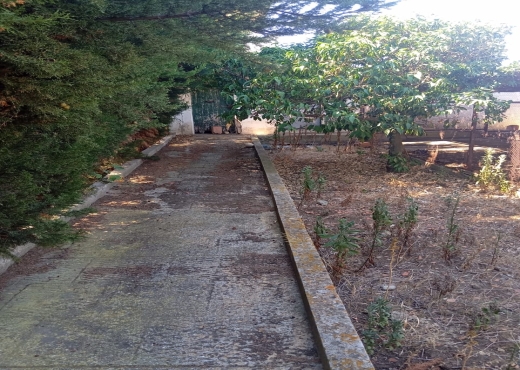 Ferme à vendre à Menzel Bourguiba, Bizerte 🏡 - Bien immobilier à {"id":4,"country_id":219,"name":"BIZERTE","slug":"bizerte"} - Image 2 - Agence Immobilière Maison Plus Elite