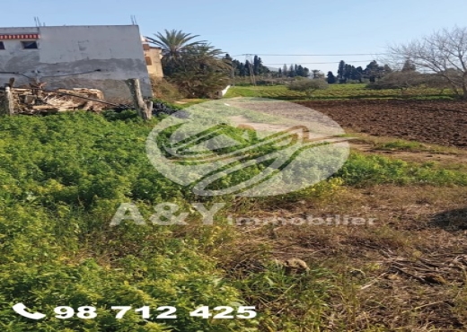 🌿🌳 Terrain agricole à vendre – Gharel Melh 🌳🌿 - Bien immobilier à {"id":4,"country_id":219,"name":"BIZERTE","slug":"bizerte"} - Image 3 - Agence Immobilière Maison Plus Elite