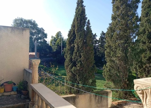 Ferme à vendre à Ras Jebel – Bizerte ! 🏡 - Bien immobilier à {"id":4,"country_id":219,"name":"BIZERTE","slug":"bizerte"} - Image 2 - Agence Immobilière Maison Plus Elite