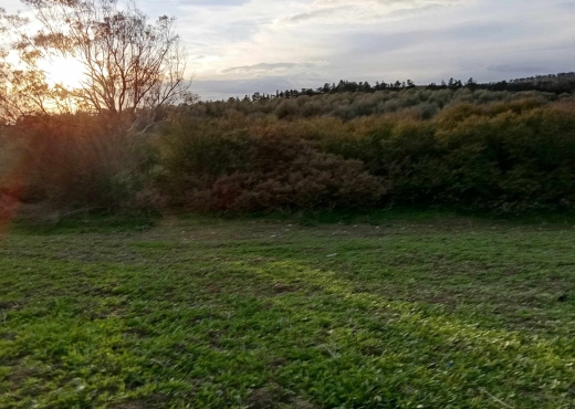 🌿 Terrain à vendre à Ras El Jebel – Bizerte 🌿 - Bien immobilier à {"id":4,"country_id":219,"name":"BIZERTE","slug":"bizerte"} - Image 2 - Agence Immobilière Maison Plus Elite