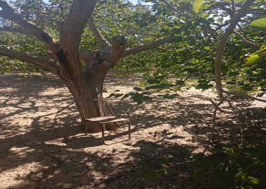 Terrain à vendre à Ras Jebel – Plage Suisseri 🌿🍃 - Bien immobilier à {"id":4,"country_id":219,"name":"BIZERTE","slug":"bizerte"} - Agence Immobilière immo\'in