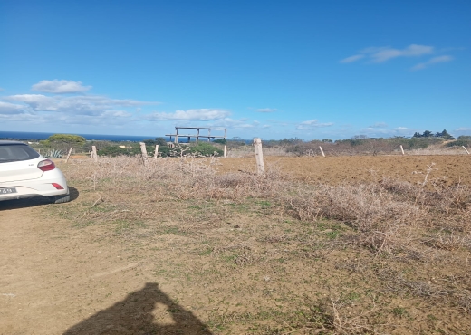 📍🌿 Terrain 2329 m² à Béjou – Ghar El Melh - Bien immobilier à {"id":4,"country_id":219,"name":"BIZERTE","slug":"bizerte"} - Image 3 - Agence Immobilière Maison Plus Elite